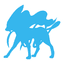 XY Kit du dresseur (Suicune)